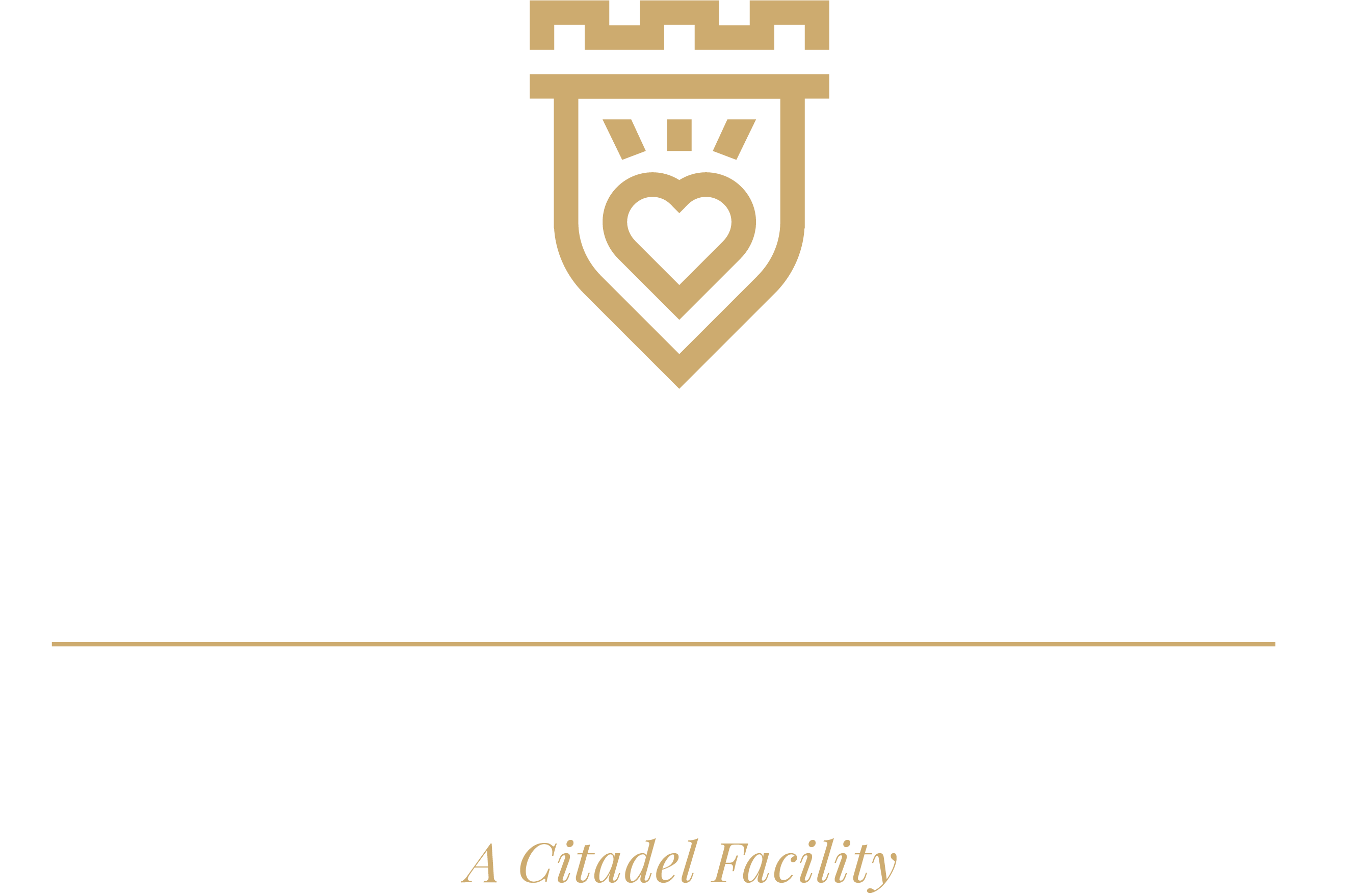Hudson Pointe Rehab Logo